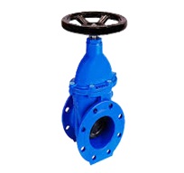 Solid Wedge Gate Valve