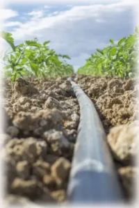 لوله پلی اتیلن